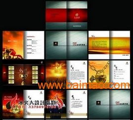 VIS品牌策劃與設計服務 從標志到畫冊、包裝的全面解決方案